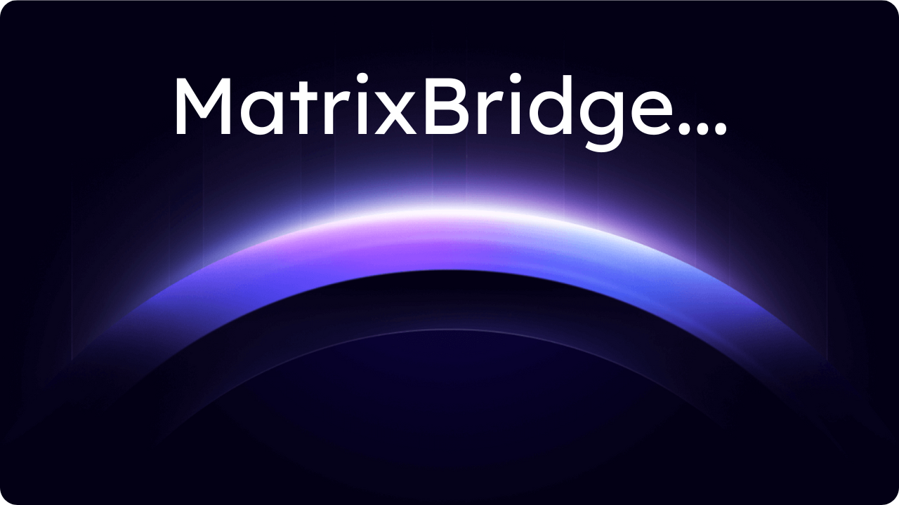 MatrixBridge Demo